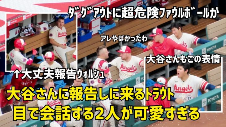 危険なファウルボールが… 安心した後のトラウトと大谷さんの表情が可愛いかった    エンゼルス Angels  大谷翔平 Shohei Ohtani 現地映像