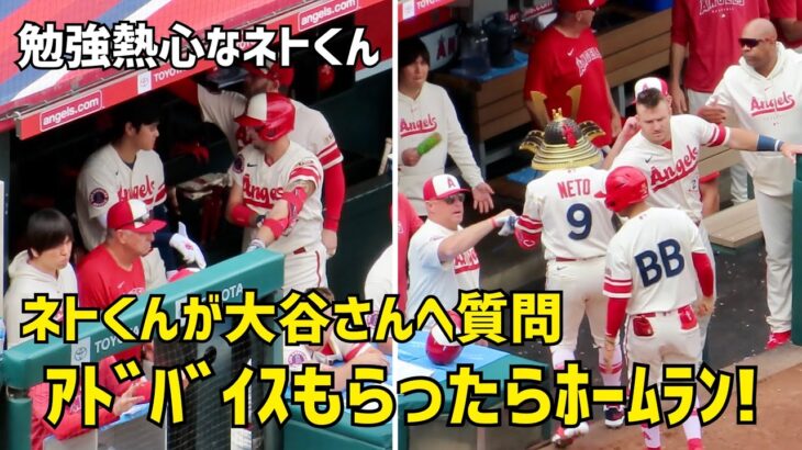 勉強熱心なネトくん 大谷さんにアドバイスもらったらホームラン！ エンゼルス Angels  大谷翔平 Shohei Ohtani 現地映像