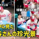 試合中に見た大谷さんの珍光景  何かを書いたりボールを頼まれたり…  エンゼルス Angels  大谷翔平 Shohei Ohtani 現地映像