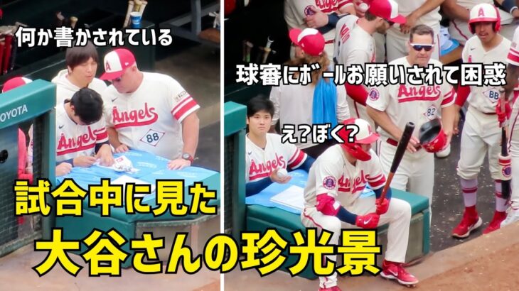 試合中に見た大谷さんの珍光景  何かを書いたりボールを頼まれたり…  エンゼルス Angels  大谷翔平 Shohei Ohtani 現地映像