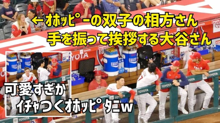 珍しい！試合中にオホッピーの双子の相方さんに手を振る大谷さん  エンゼルス Angels  大谷翔平 Shohei Ohtani 現地映像