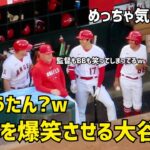 何言ったか気になる… トラウトを爆笑させる大谷さん  エンゼルス Angels  大谷翔平 Shohei Ohtani 現地映像