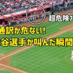 一平さんが危ない！危険ファウルボールに大谷選手が叫んだ瞬間  エンゼルス Angels  大谷翔平 Shohei Ohtani 現地映像