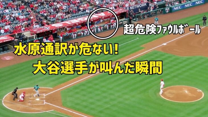 一平さんが危ない！危険ファウルボールに大谷選手が叫んだ瞬間  エンゼルス Angels  大谷翔平 Shohei Ohtani 現地映像