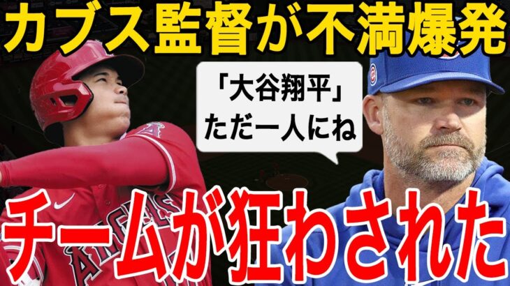 【大谷翔平】エンゼルスに全敗したカブス監督デビッド・ロスが不満爆発！「大谷の一人のせいで、チーム全体が狂ったんだ」【海外の反応/MLB/野球】