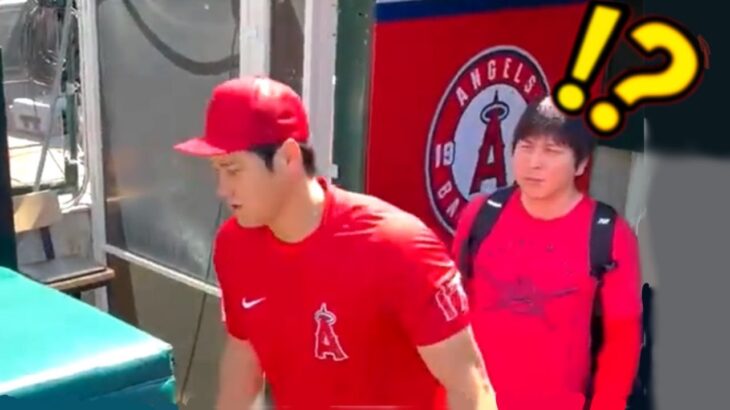 大谷がグランドに入ろうとした次の瞬間・・ある発見にMLBファンも大興奮！「一体どういう事？」【大谷翔平】