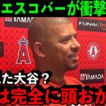 新戦力のエスコバーが語る大谷翔平への”ある本音”「正直次元が違う…」エ軍の補強についてトラウトが本音【海外の反応/MLB】