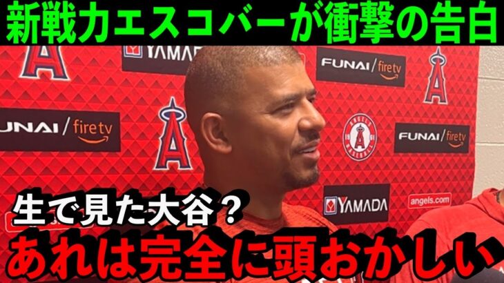 新戦力のエスコバーが語る大谷翔平への”ある本音”「正直次元が違う…」エ軍の補強についてトラウトが本音【海外の反応/MLB】