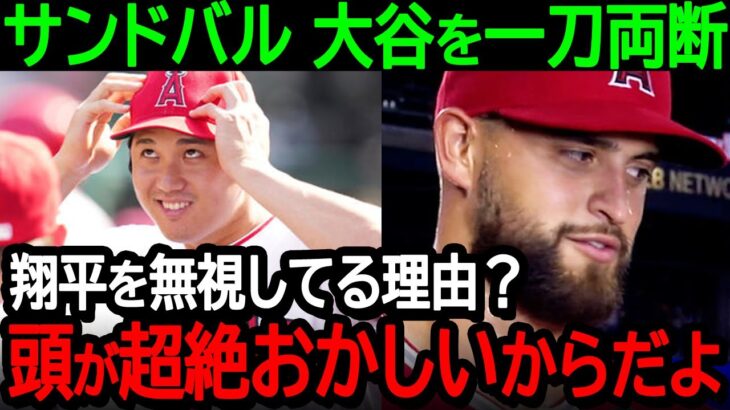 エ軍エースのサンドバルが大谷を無視している理由を激白！「彼の話は聞かないよ、頭がおかしいからね」【海外の反応/MLB/野球】