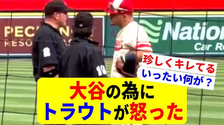 さすがのトラウトも黙っちゃいない！審判しっかりしてくれ！【大谷翔平】【トラウト】【MLB】Shohei Ohtani