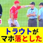 青ざめるトラ兄に弟大谷大爆笑！【大谷翔平】【トラウト】【MLB】Shohei Ohtani