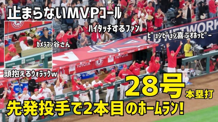 鳥肌！ファンから止まないMVPコール 大谷選手２８号ホームラン！ 初の二刀流マルチ本塁打  エンゼルス Angels  大谷翔平 Shohei Ohtani 現地映像