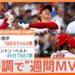 「ボールの見え方がいい」大谷翔平、絶好調で“週間MVP”！オールスターファン投票はダントツ1位キープ【Nスタ解説】｜TBS NEWS DIG