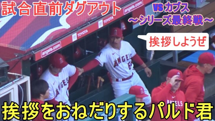 試合直前ダグアウト～挨拶をおねだりするパルド君【大谷翔平選手】対シカゴ・カブス～シリーズ最終戦～Shohei Ohtani vs Cubs 2023