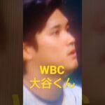 WBC 大谷くん　大谷翔平