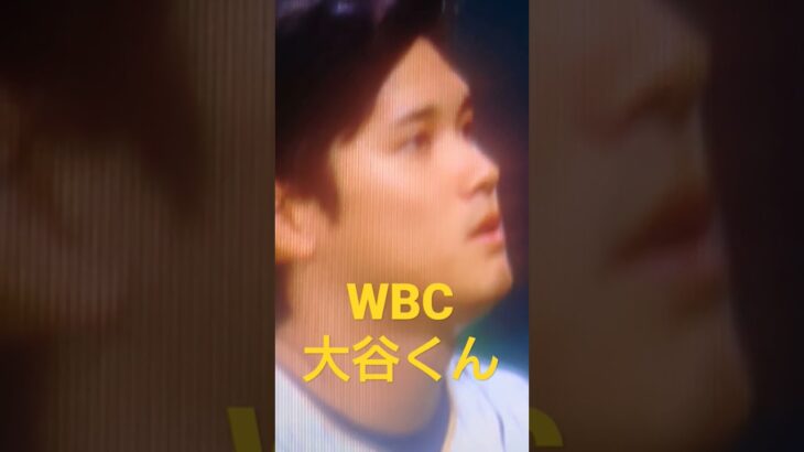 WBC 大谷くん　大谷翔平