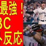 『日本、WBCで優勝！』海外メディアの反応　英語と日本語