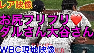 【現地映像】お尻フリフリの大谷くんダルビッシさん！WBC準決勝