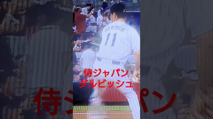 侍ジャパン　ダルビッシュ　#日本代表　#ダルビッシュ　#WBC