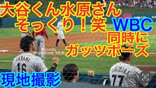 【現地映像】大谷くん一平さんソックリ！同時にガッツポーズ WBC準決勝