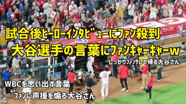 試合後ヒーローインタビューにファン殺到 大谷選手の言葉にファンキャーキャー  WBCを思い出す エンゼルス Angels  大谷翔平 Shohei Ohtani 現地映像