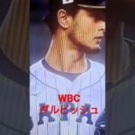 WBC 侍ジャパン　ダルビッシュ　#日本代表　#ダルビッシュ　#WBC