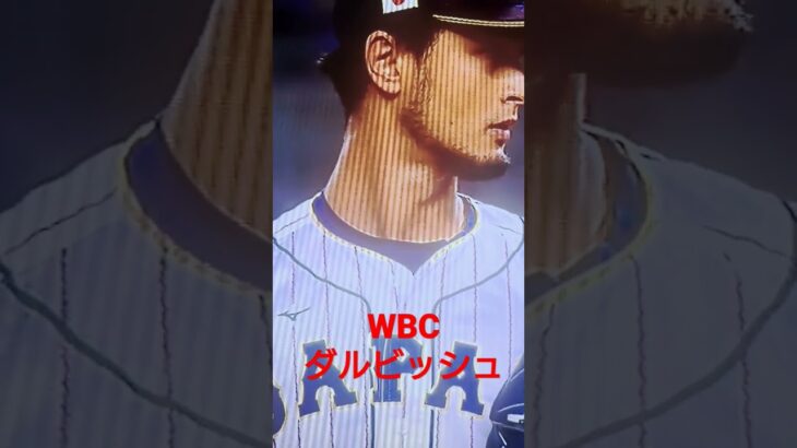 WBC 侍ジャパン　ダルビッシュ　#日本代表　#ダルビッシュ　#WBC