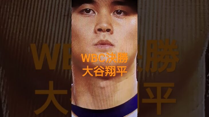 WBC決勝 大谷翔平選手　大谷翔平　#wbc