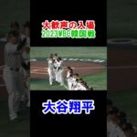 大谷翔平　大歓声の入場！　WBC　日本対韓国　2023/3/10　東京ドーム【現地映像】#shorts