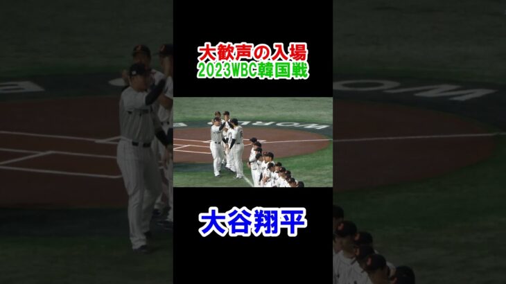 大谷翔平　大歓声の入場！　WBC　日本対韓国　2023/3/10　東京ドーム【現地映像】#shorts