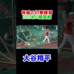 大谷翔平　脅威の打撃練習　WBC　日本対韓国　2023/3/10　東京ドーム　【現地映像】　#shorts