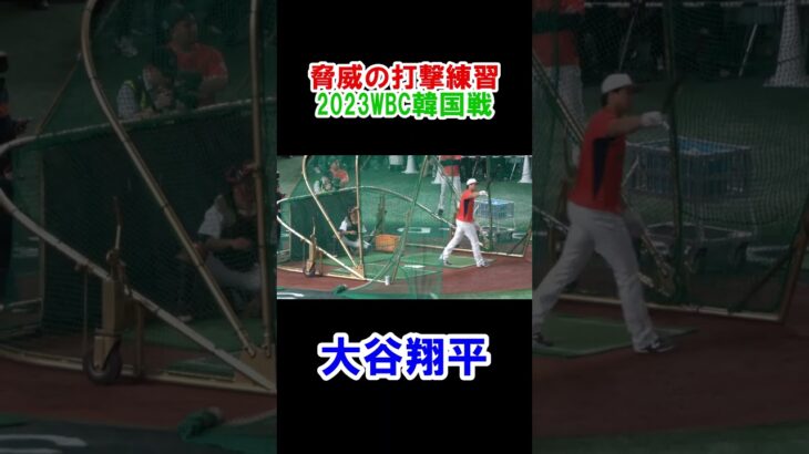 大谷翔平　脅威の打撃練習　WBC　日本対韓国　2023/3/10　東京ドーム　【現地映像】　#shorts