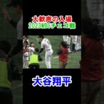 大谷翔平　大歓声の入場！　WBC　日本対チェコ　2023/3/11　東京ドーム　【現地映像】　#shorts