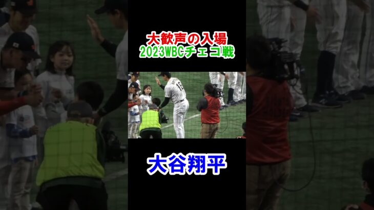 大谷翔平　大歓声の入場！　WBC　日本対チェコ　2023/3/11　東京ドーム　【現地映像】　#shorts