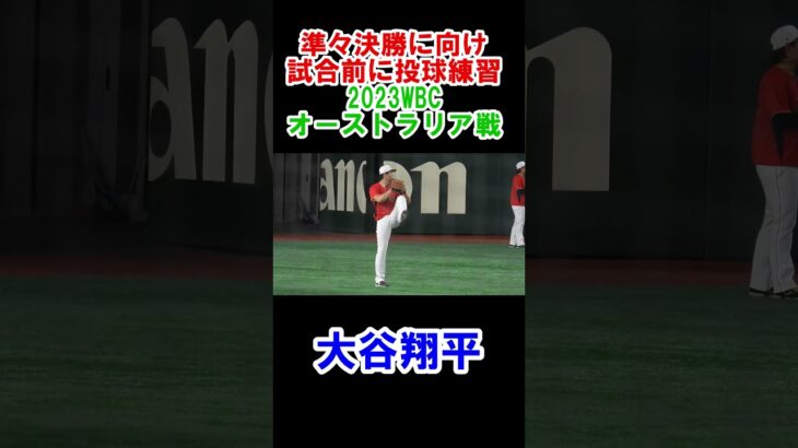 大谷翔平　準々決勝に向け試合前に投球練習　WBC　日本対オーストラリア　2023/3/12　東京ドーム　【現地映像】#shorts