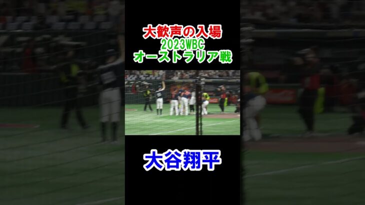 大谷翔平　大歓声の入場！　WBC　日本対オーストラリア　2023/3/12　東京ドーム　【現地映像】#shorts