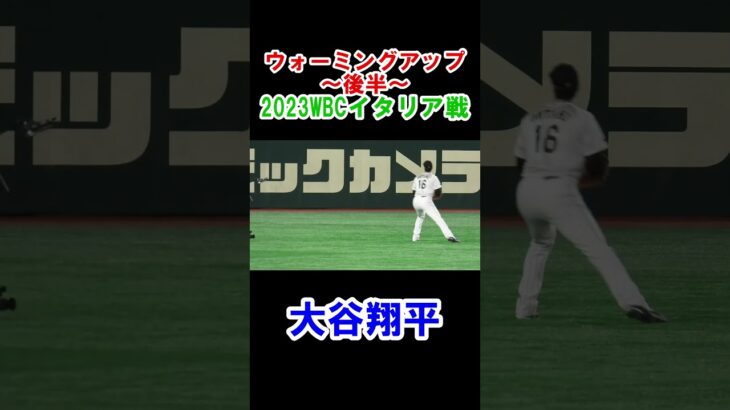 大谷翔平　ウォーミングアップ後半　WBC準々決勝　2023/3/16　日本対イタリア　東京ドーム　【現地映像】#shorts