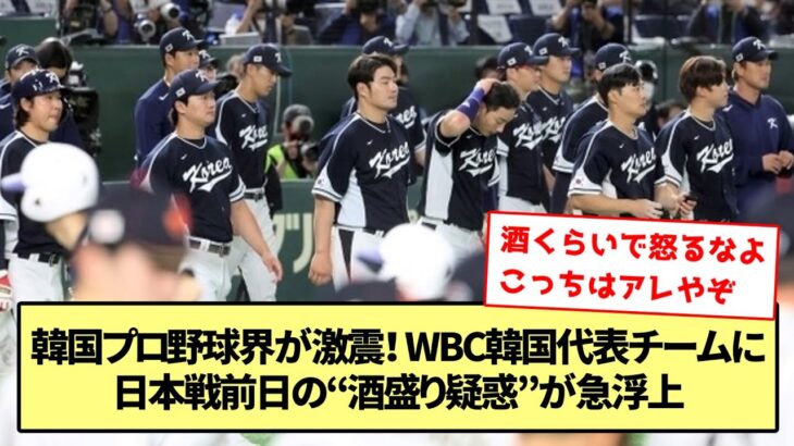 【朝まで酒盛り】韓国プロ野球界が激震！ WBC韓国代表チームに日本戦前日の“酒盛り疑惑”が急浮上【なんJ なんG野球反応】【2ch 5ch】