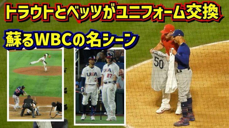 トラウトとベッツが大谷翔平について語った‼️ユニフォーム交換で蘇るWBCの名シーン【現地映像】ShoheiOhtani Angels