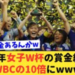 【悲報】大盛り上がりだったWBCの賞金総額よりも女子W杯の賞金が凄い事にwww