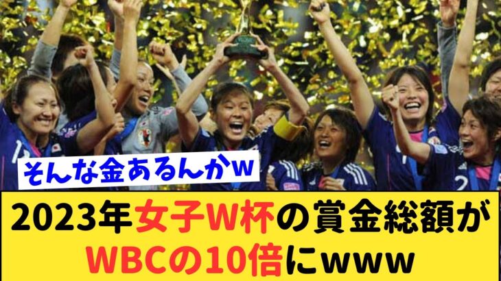 【悲報】大盛り上がりだったWBCの賞金総額よりも女子W杯の賞金が凄い事にwww