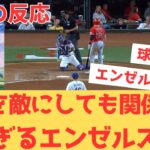 【海外の反応】またしても球審のひどい判定に怒るも、チームとして完成されているエンゼルスを見て大興奮する現地エンゼルスファン・・・ 【大谷翔平 エンゼルス レンジャーズ】