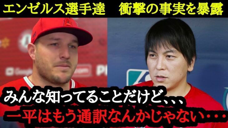 水原一平さんのアメリカ現地での人気ぶり＆仕事ぶりが凄すぎて、もはや通訳という仕事を忘れてしまう【海外の反応】【エンゼルス選手の本音】