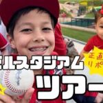 大谷翔平選手登板じゃない日の試合前ブルペン練習が見られる⁉️エンゼルスタジアムの新しい裏側ツアーはこんな感じ❓正直にリポートしました😆のあちのおまけ付き💕⚾️