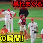 エンゼルス勝利の瞬間！荒れまくる大谷！【現地映像】