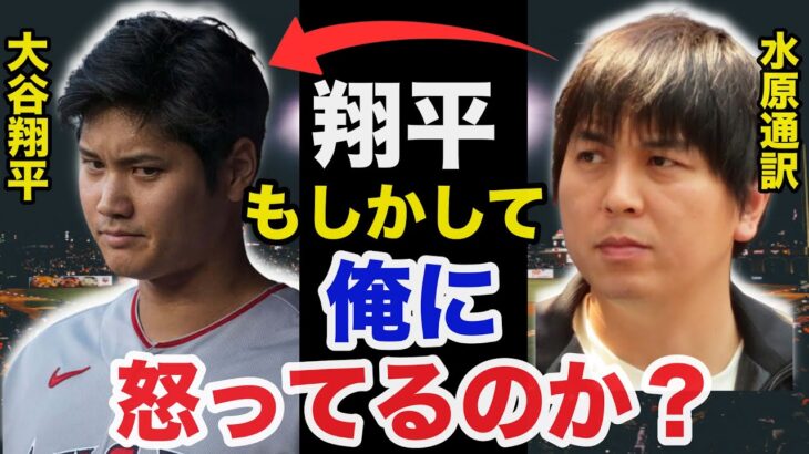 【海外の反応】大谷翔平がブチギレ水原一平通訳が顔面蒼白となった出来事がヤバすぎる【プロ野球】