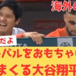 【海外の反応】試合中にもかかわらず、サンドバルをおもちゃにして笑いまくる大谷翔平を見た現地エンゼルスファンの反応は・・・ 【大谷翔平 エンゼルス カブス】