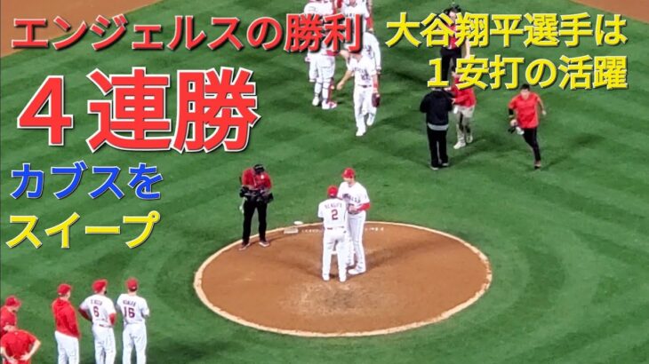 大谷翔平選手は１安打の活躍⚾️エンジェルスは見事な勝利でカブスをスイープ⚾️４連勝で貯金💰４