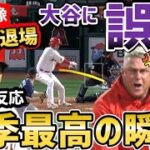 大谷翔平、誤審に世界から感動の声！ネビン監督は怒り狂い退場！「見直したぜ」【海外の反応】