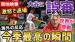 大谷翔平、誤審に世界から感動の声！ネビン監督は怒り狂い退場！「見直したぜ」【海外の反応】